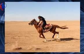 بالفيديو: أول سباق للخيول العربية الأصيلة في ريف حلب