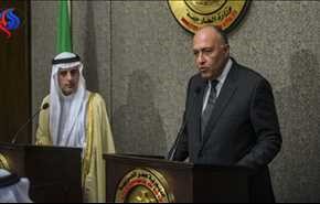 وزيرا خارجية مصر والسعودية يتفقان على تكثيف التعاون في مكافحة الارهاب