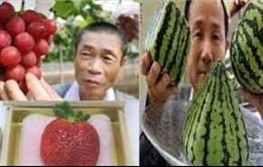بطيخ فاخر بـ27 ألف دولار وحبة فراولة بـ4 آلاف دولار فقط في اليابان!