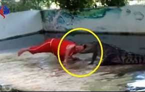 فيديو... تمساح يهاجم حارس الحديقة أمام الجمهور!‌
