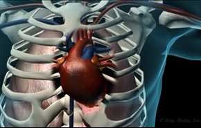 امراض القلب