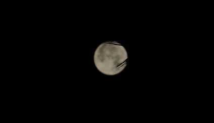 بالصور ..منظر لظاهرة القمر العملاق من العراق