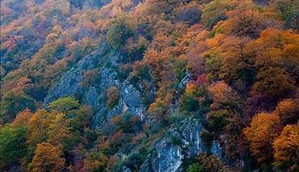 الخريف في بهشهر-شمال إيران