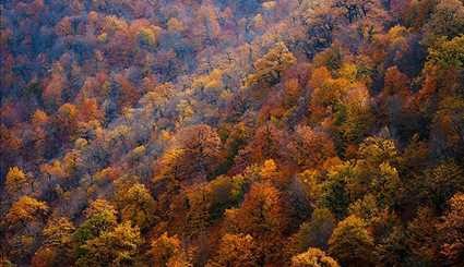 الخريف في بهشهر-شمال إيران