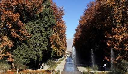 عکس‌هایی زیبا از پاییز در کرمان