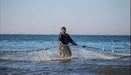 صيد الاسماك في شبه جزيرة ميانكاله التابعة لمدينة بهشر شمال ايران