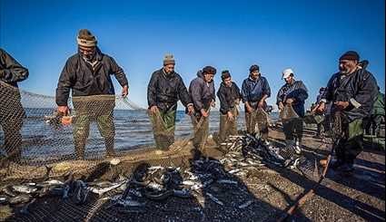 صيد الاسماك في شبه جزيرة ميانكاله التابعة لمدينة بهشر شمال ايران