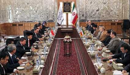 لقاء رئيس مجلس الشورى الاسلامي مع رئيس المجلس الاستشاري الاندونيسي