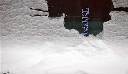 برف در اردبیل +عکس