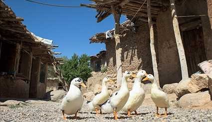 تصاویری زیبا از زندگی روستایی در یاسوج