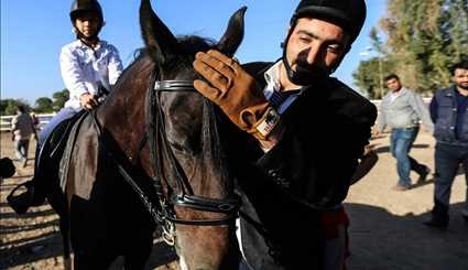 مسابقه نمایش اسب‌های ورزشی در ایران +عکس
