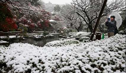 صور رائعة لتساقط الثلوج في طوكيو