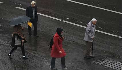 اولین باران زمستانی در تهران | تصاویر