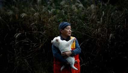 شکارچیان زن در ژاپن | تصاویر
