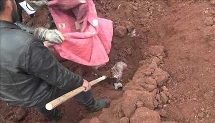 ویدیو؛ اجساد شکنجه‌شده در گورهای جمعی شرق حلب