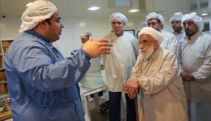 بازدید آیت الله جنتی از مجموعه همانند ساز بافت کیش | تصاویر