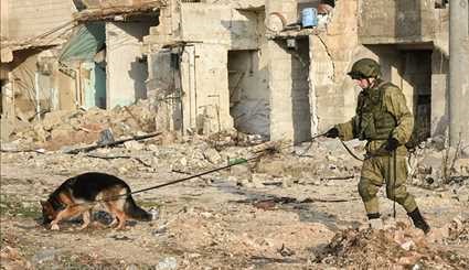 القوات الروسية في حلب