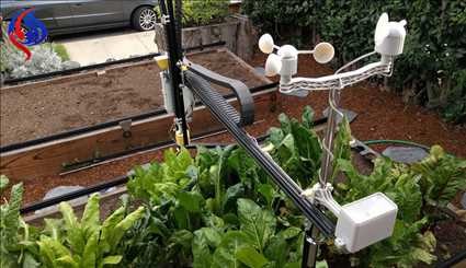 رباتی که باغبانی می‌کند