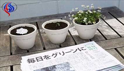روزنامه ای که تبدیل به گیاه می شود! عکس