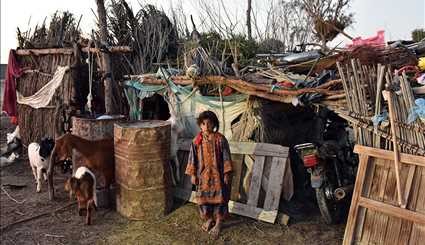 خسارت های سیل در بلوچستان | تصاویر