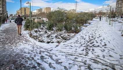 الثلوج تساقط الثلوج طهران