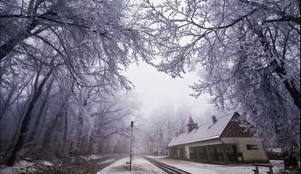 تصاویر ... زمستان رؤیایی در هیلز کالیفرنیا