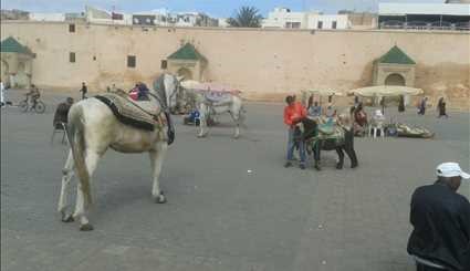 صور من ساحة الهديم بمكناس و بعض المنتوجات التقليدية المغربية