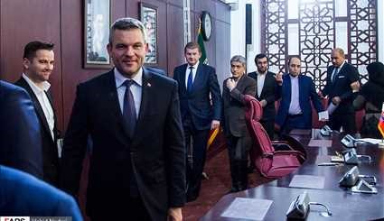 دیدار معاون نخست وزیر اسلواکی و وزیر اقتصاد | تصاویر