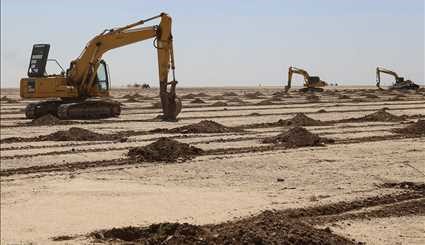 کاشت ۲۵۰ هزار نهال در خوزستان | تصاویر