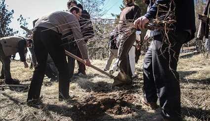 قافلة (ايران أرض الاخوة) في كردستان