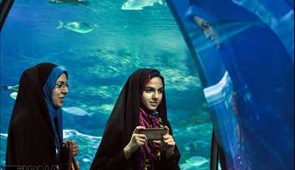 تونل آکواریوم اصفهان | تصاویر