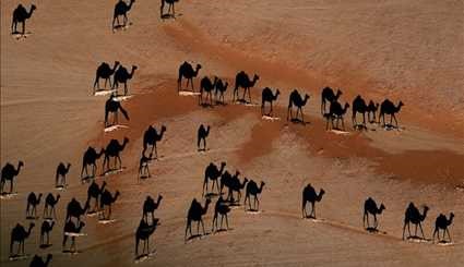 صور حقيقية تبدو وكأنها فوتوشوب !