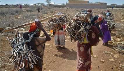 المجاعة في الصومال