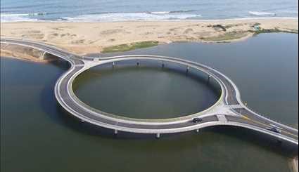 بالصور..جسر دائري بني لإبطاء حركة السائقين للاستمتاع بالمناظر في الاوروغواي