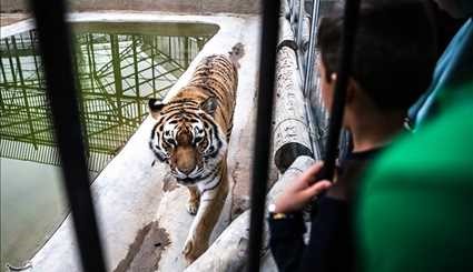 حديقة الحيوان في طهران