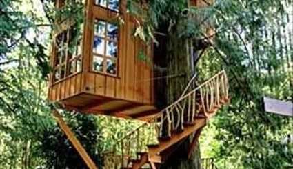 بالصور..إبداعات رائعة في تصميم منازل الأشجار