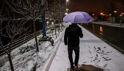 بارش برف شبانه در اردبیل/ تصاویر