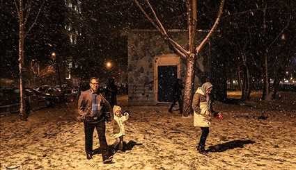 بارش برف شبانه در اردبیل/ تصاویر