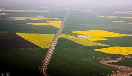 طبیعت بهاری گرگان | تصاویر