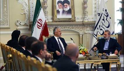 دیدار معاون نخست‌وزیر مجارستان با رئیس مجلس شورای اسلامی/ تصاویر