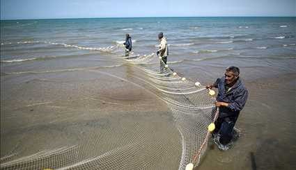بالصور صيد السمك في ايران