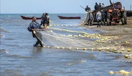 بالصور صيد السمك في ايران