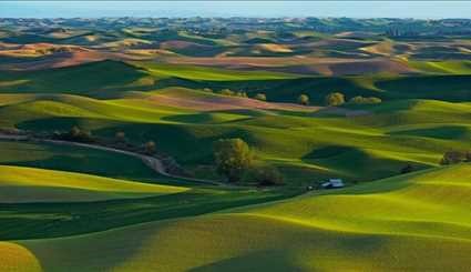 شاهد بالصور منطقة Palouse الاميركي