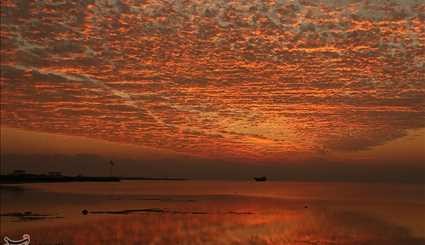 کلبه هور - خلیج فارس | تصاویر