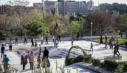اجواء الربيع في دمشق