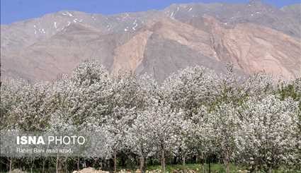 طبیعت بهاری در کرمان و ارسباران