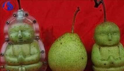 پرورش میوه با شکلهای زیبا و دیدنی
