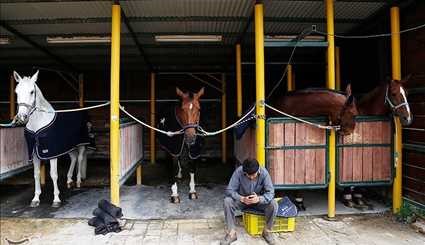 إيران الحصان كأس القفز عقد في كرج