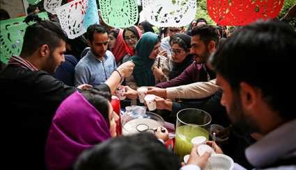 جشنواره غذای ملل دانشگاه تهران | تصاویر