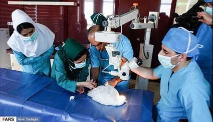 بالصور.. جراحة إزالة الماء الأبيض من عين بطة لأول مرة في ايران